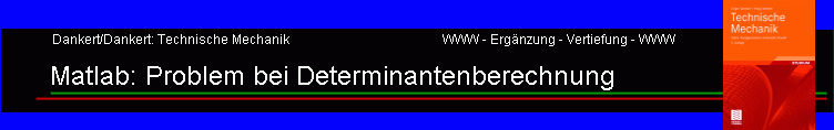 Matlab: Problem bei Determinantenberechnung